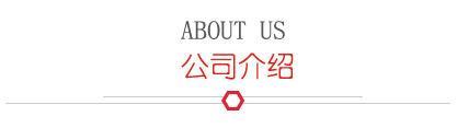 公司簡介 公司簡介